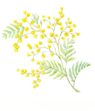 Association Domaine Princesse Zita Association Domaine Princesse Zita